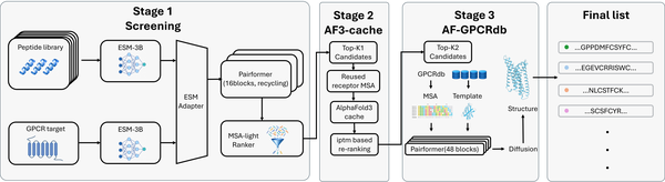 GPCR-Turbo Figure 1: three-stage GPCR-peptide screening framework