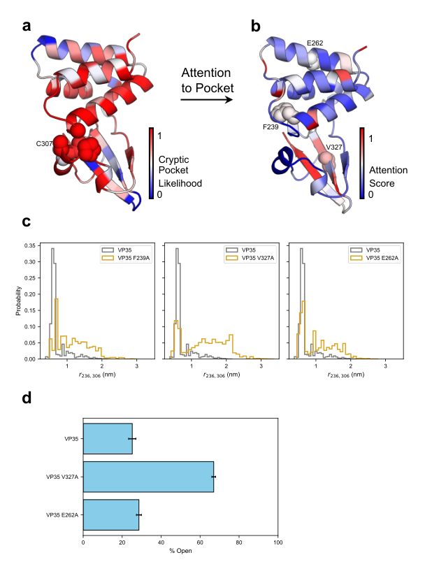 Figure 4: Prediction and experimental validation of allosteric control residues in VP35
