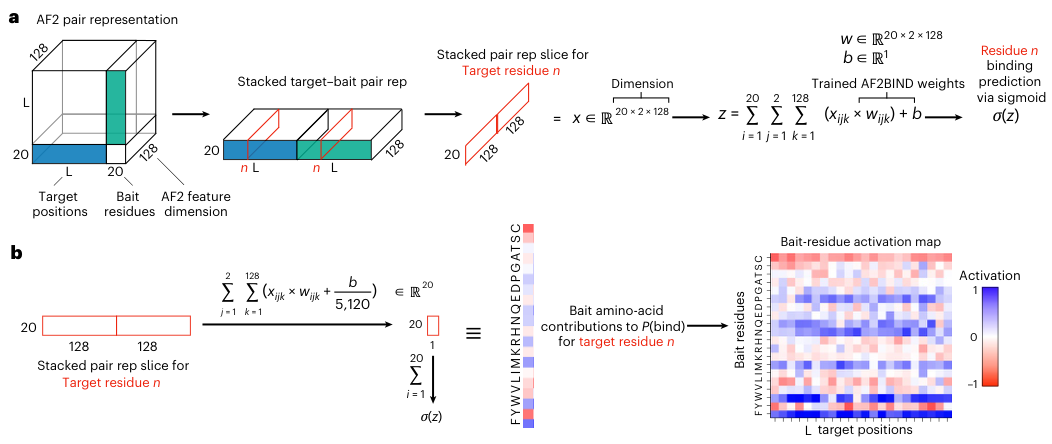 Figure 2: pair representation to P(bind)