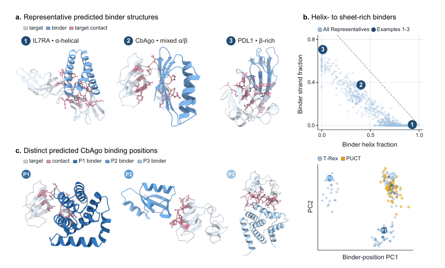 Figure 5: diversity of structures and binding sites