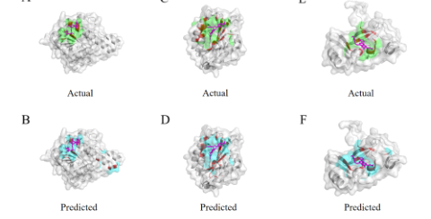 Figure 8: 3D visualization of true vs predicted sites on three proteins