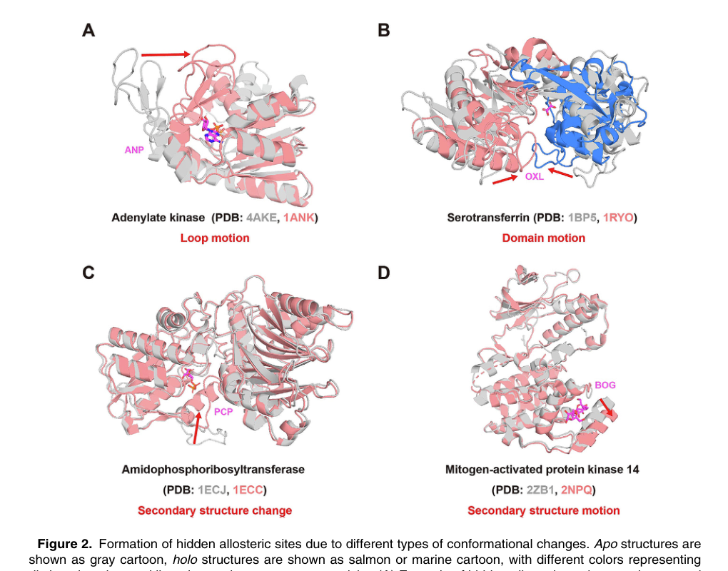Figure 2: Four mechanisms that form hidden allosteric sites