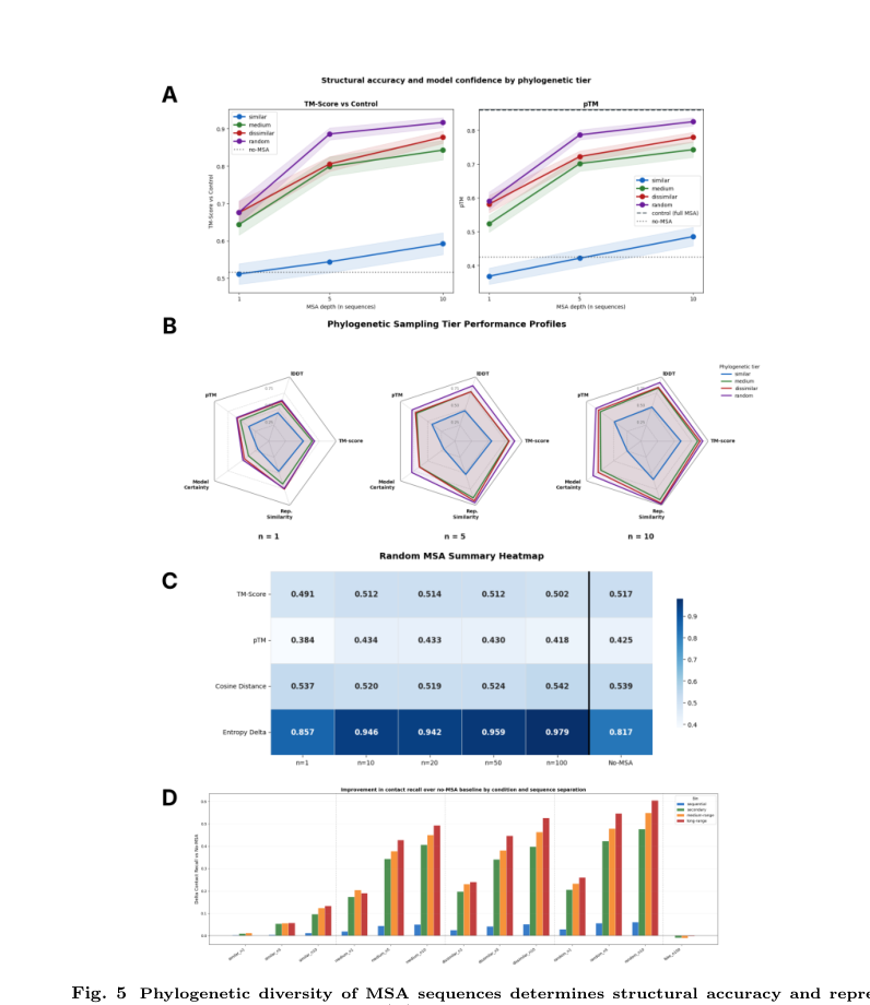Figure 5: Phylogenetic diversity determines structural accuracy