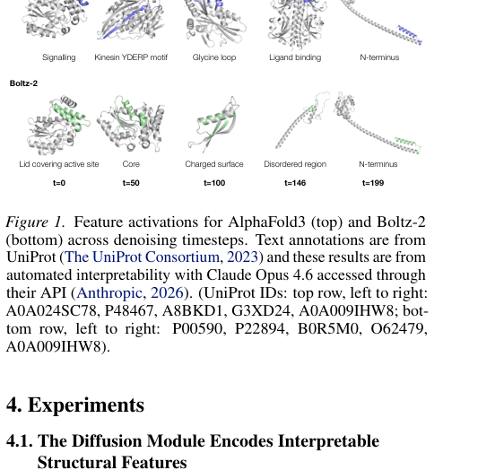 Figure 1: Feature activations for AlphaFold3 and Boltz-2 across denoising timesteps