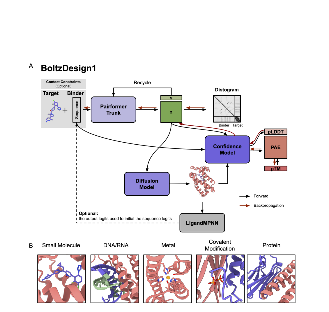Figure 1: design pipeline