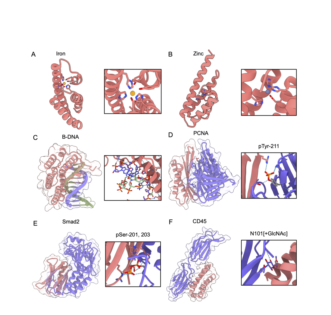 Figure 5: multiple target types
