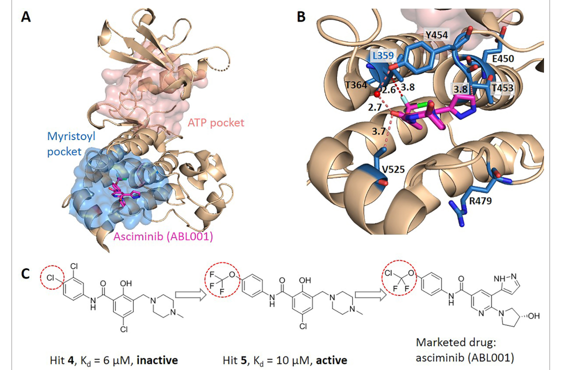Figure 4: BCR-ABL1