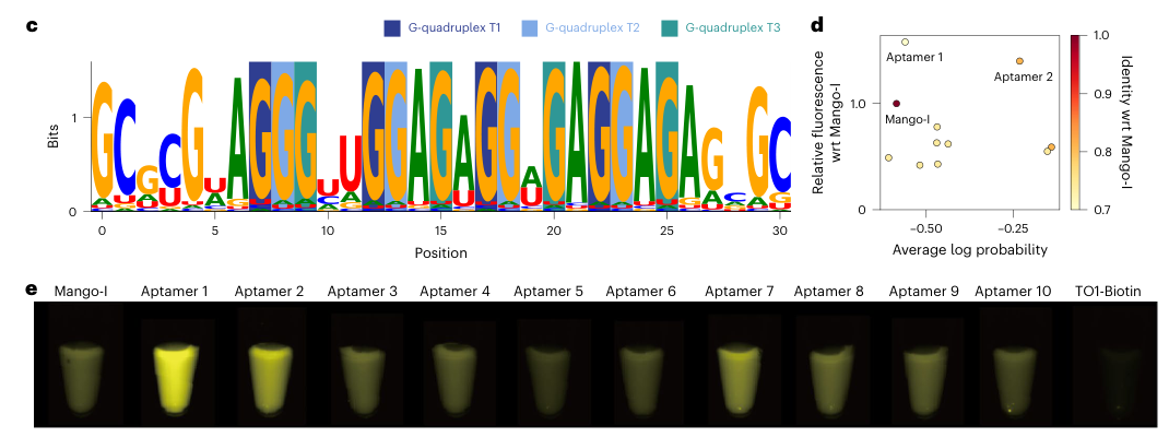 Figure 6: Experimental validation