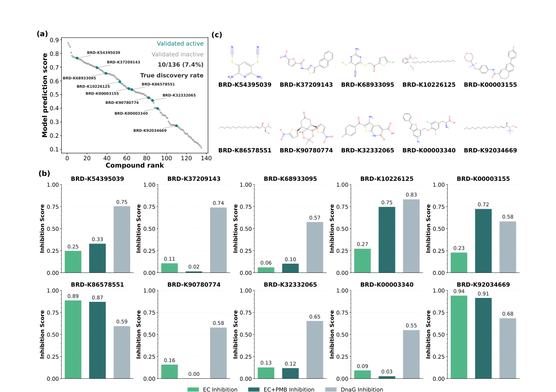 Figure 6: Prospective wet-lab validation