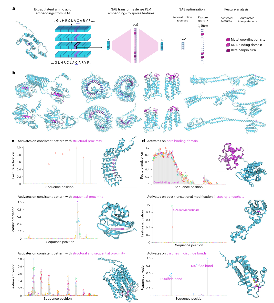 Figure 1: SAE overview and representative features