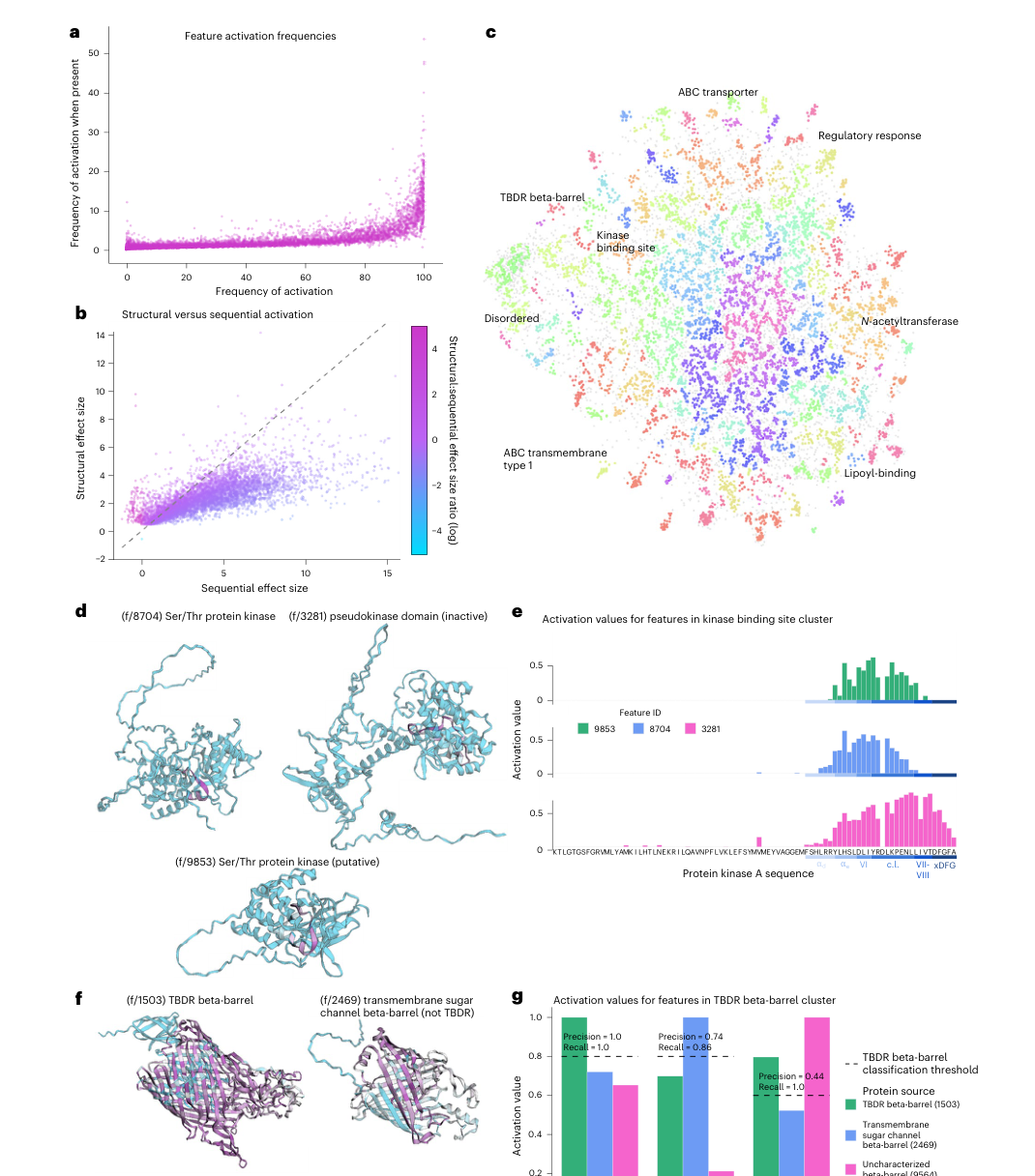 Figure 3: Feature activation patterns and functional clustering