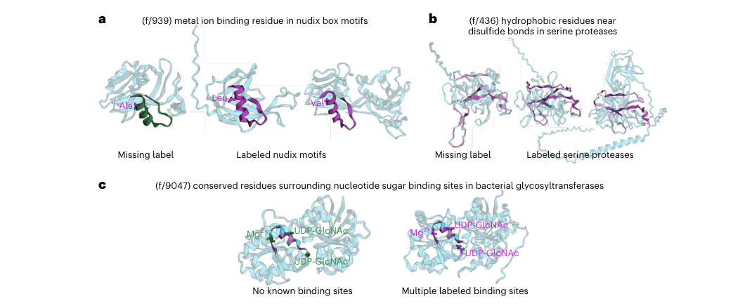 Figure 5: Missing annotation discovery