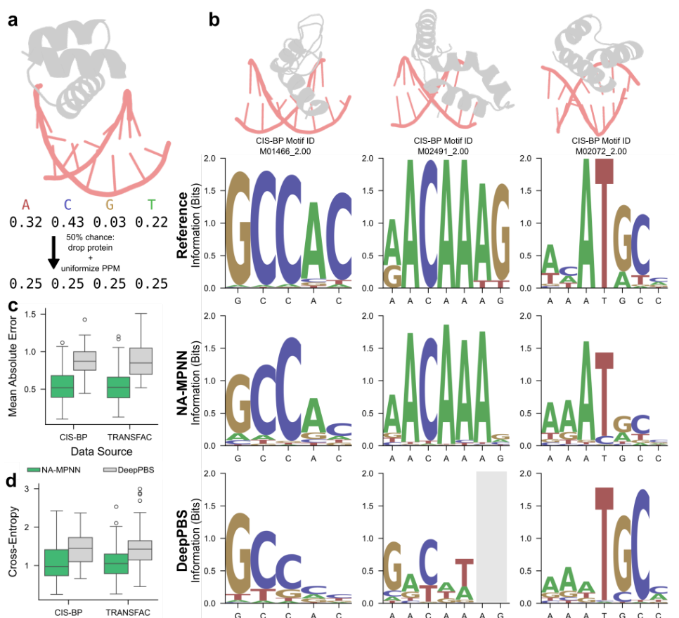Figure 4: DNA specificity