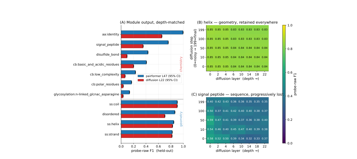 Figure 1: Trunk vs diffusion module representational split