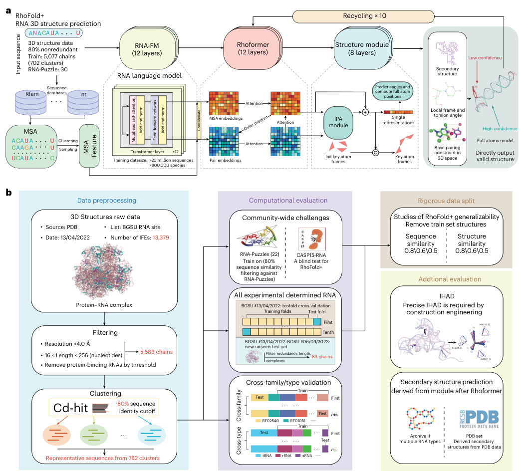 Figure 1: RhoFold+ architecture and evaluation tasks