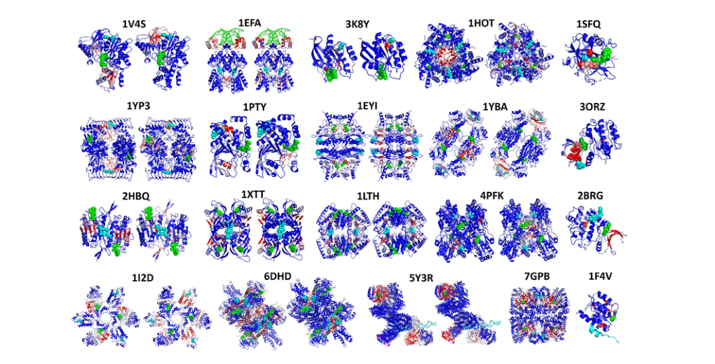 Figure 6: 23 proteins dataset