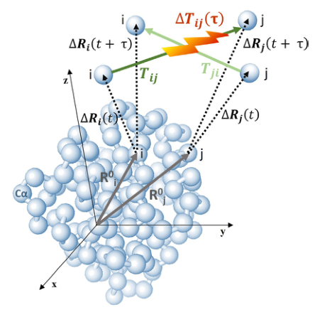 Figure 1: Schematic of GNM information transfer