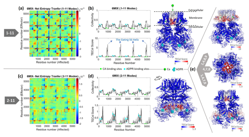 Figure 4: TRPM2
