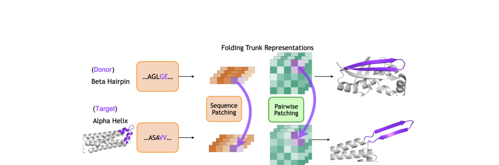 Figure 3: Activation patching setup